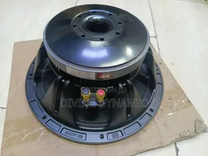 12 Inch New Retone Speaker