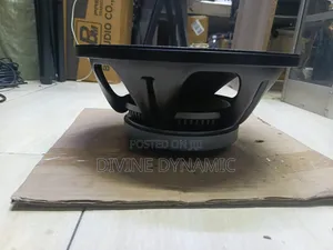 12 Inch New Retone Speaker