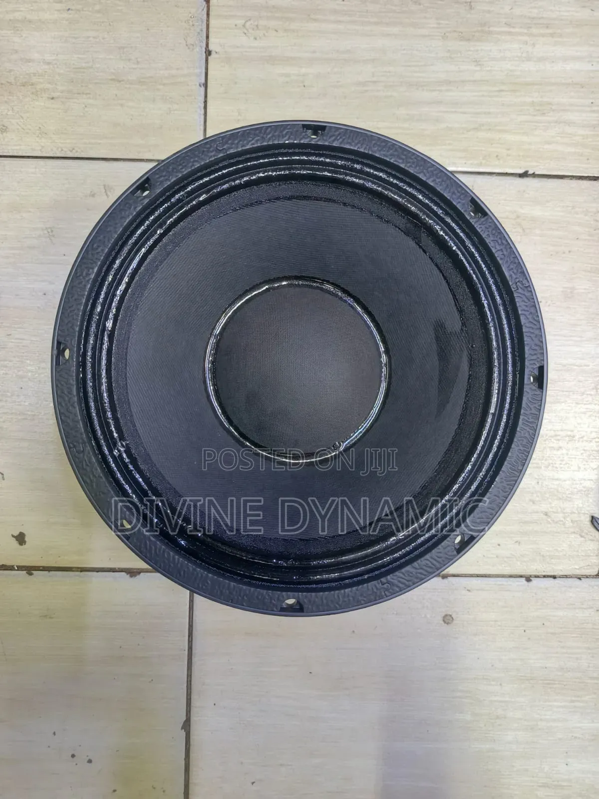 10-Inch New Retone Speaker