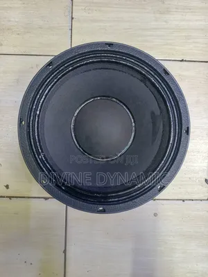 10-Inch New Retone Speaker