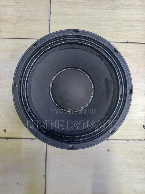 10-Inch New Retone Speaker