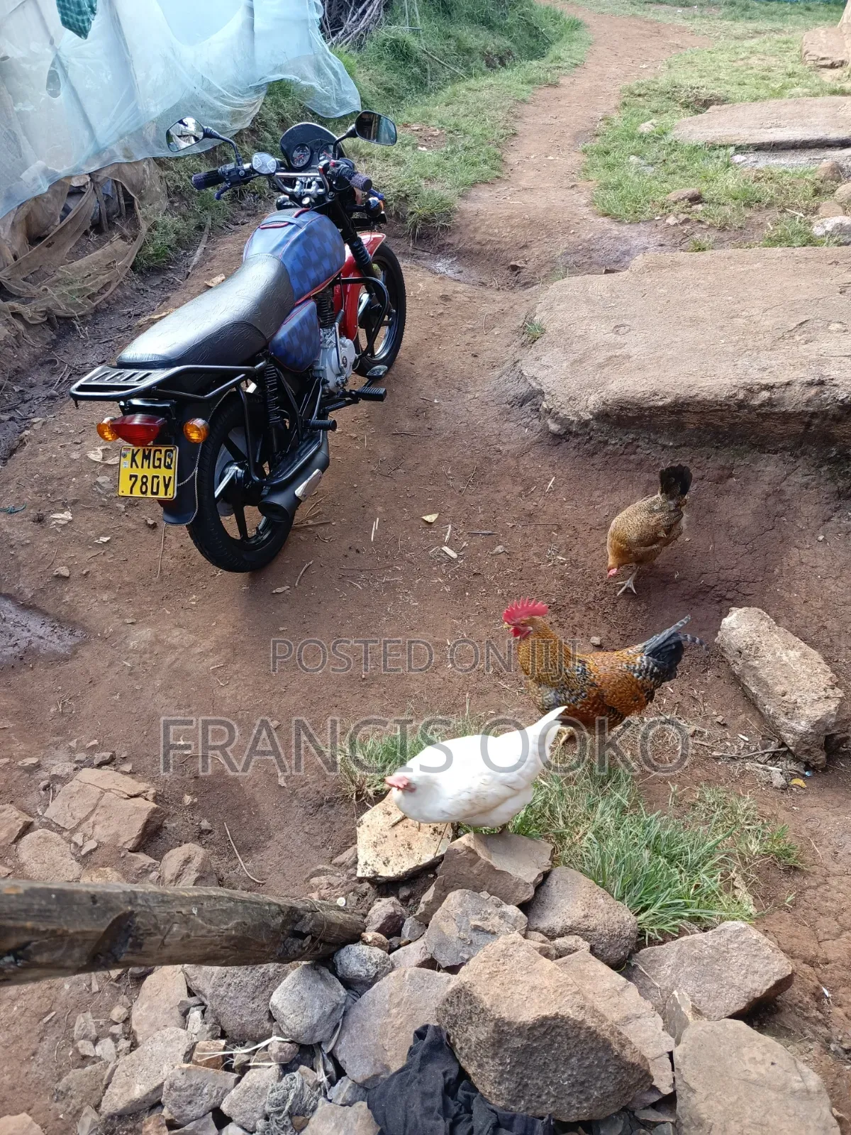 Bajaj Boxer 150 UG 2025 Red