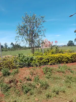 Kantafu Plot