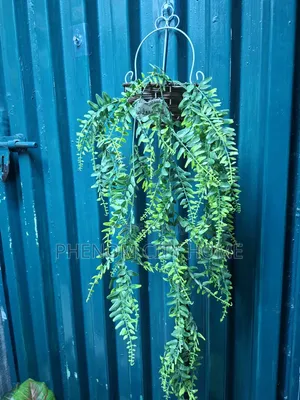 Wall Hanging Flowers With Vase
