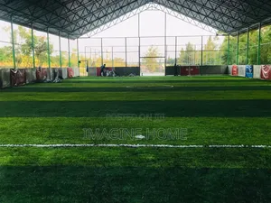 Field Football Pitch Grass Carpet