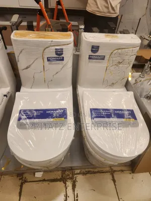 Ceramic White Toilet With Cistern