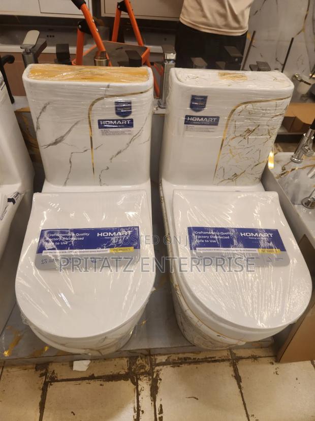 Ceramic White Toilet With Cistern