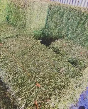 Lucerne/Alfalfa Hay