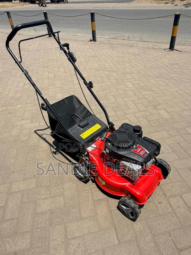 Grass Trimmer