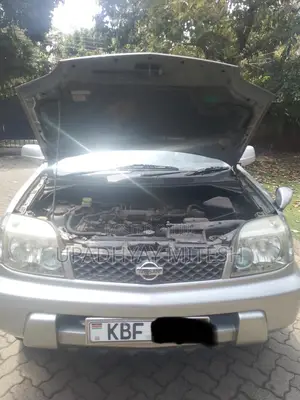 Nissan X-Trail 2001 Gray