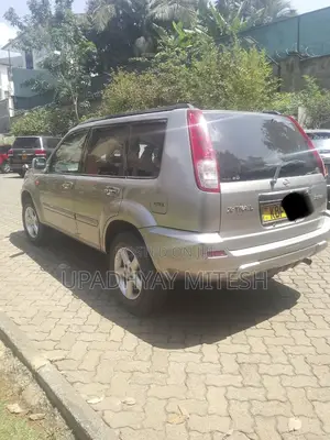 Nissan X-Trail 2001 Gray