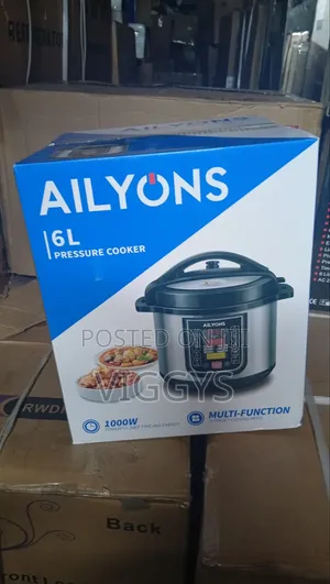 6 Litres Ailyons Electric