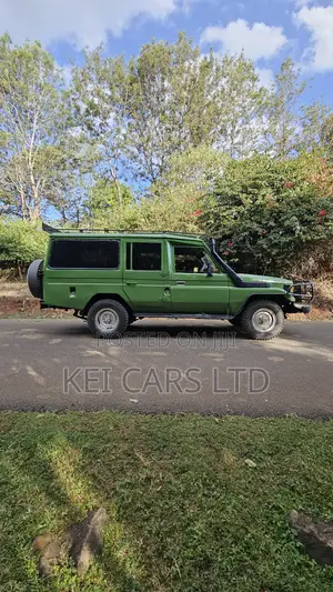 Toyota Land Cruiser 70 1992 Green