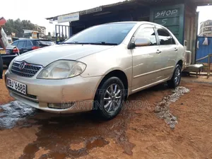 Toyota Corolla 2005 Gold