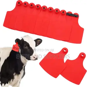 Large-Plain Format Animal Ear Tags