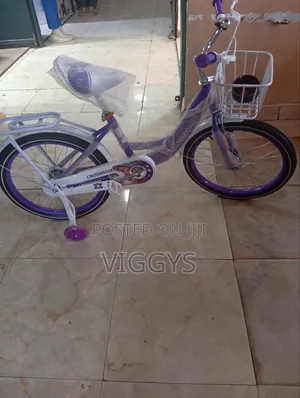 Lady Bird Bike Pink Bike Size 20