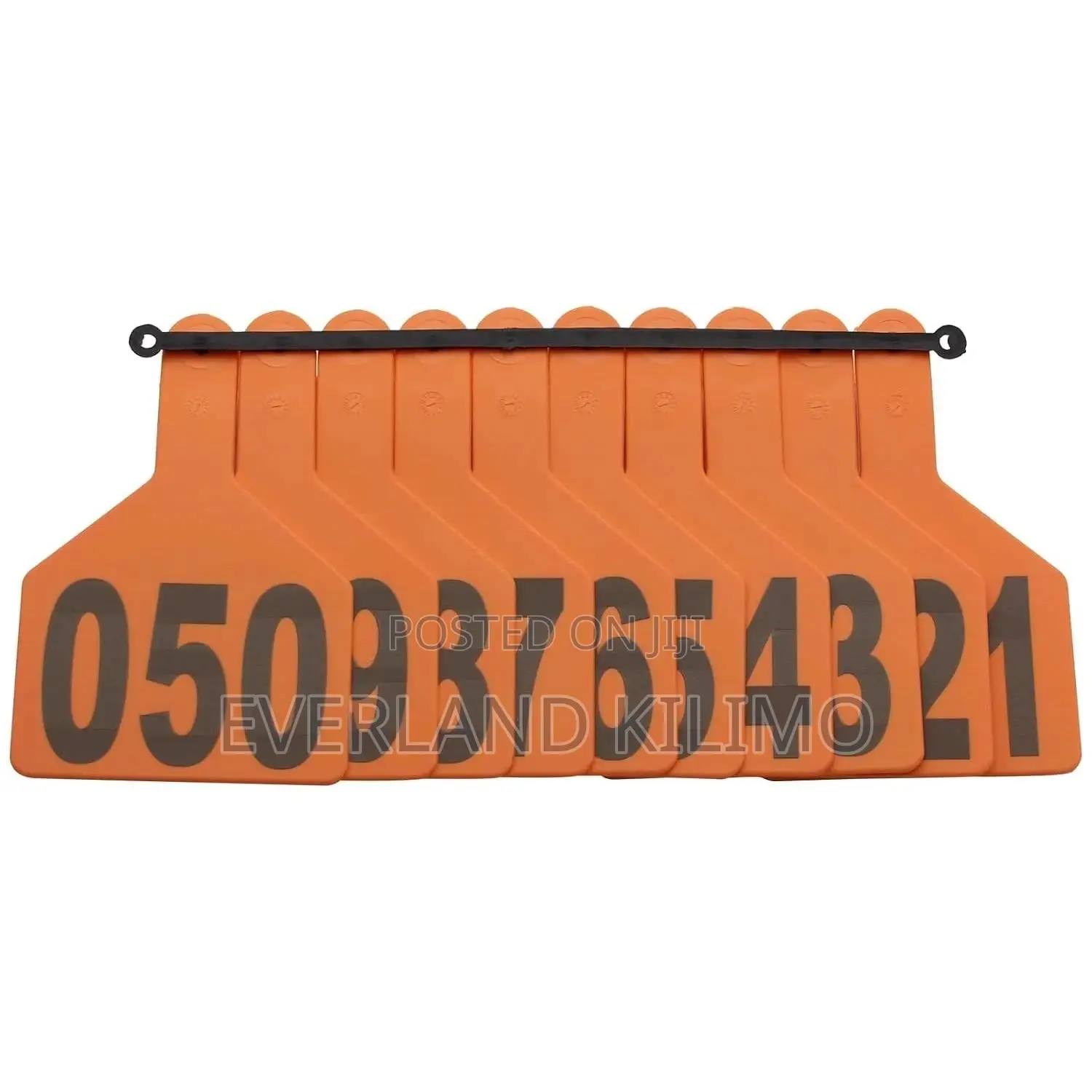 Medium Numbered Family Herd Ear Tags