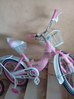 Lady Bird Bike Pink Bike Size 20