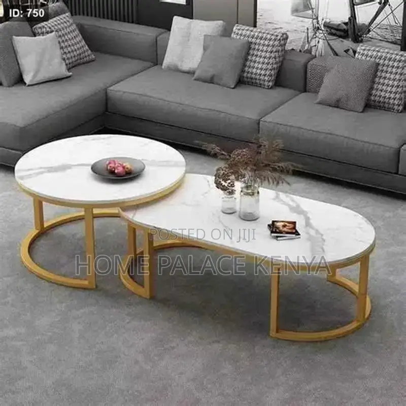 Coffee Table; Elegant Nesting Center Table Set for Modern Homes