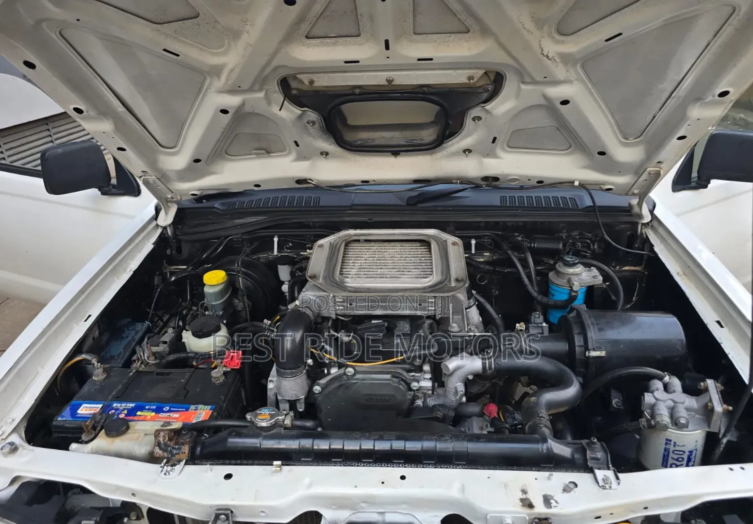 Nissan Hardbody 2013 White