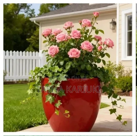 Flower Vase Planter 32*33cm Gale