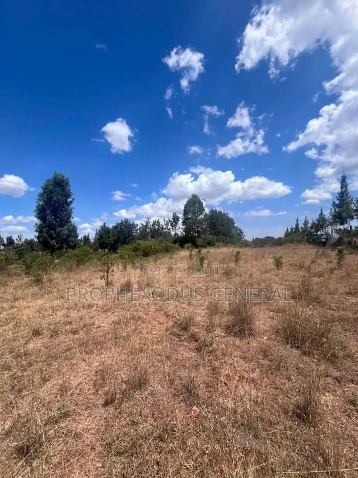 50×100 Residential Plots for Sale in NGONG Matasia