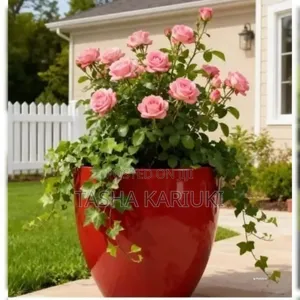 Flower Vase Planter 32*33cm Gale