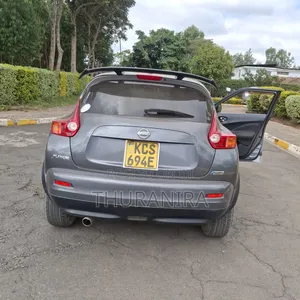 Nissan Juke 2011 Gray
