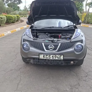 Nissan Juke 2011 Gray