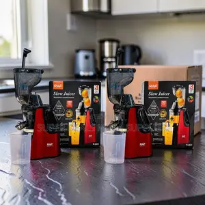 Family Friendly RAF R.2831 400Ml Slow Juicer Juice Extractor