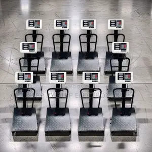Low-Cost Prices 100Kgs,150Kgs,300Kgs Digital Platform Weighing Scales