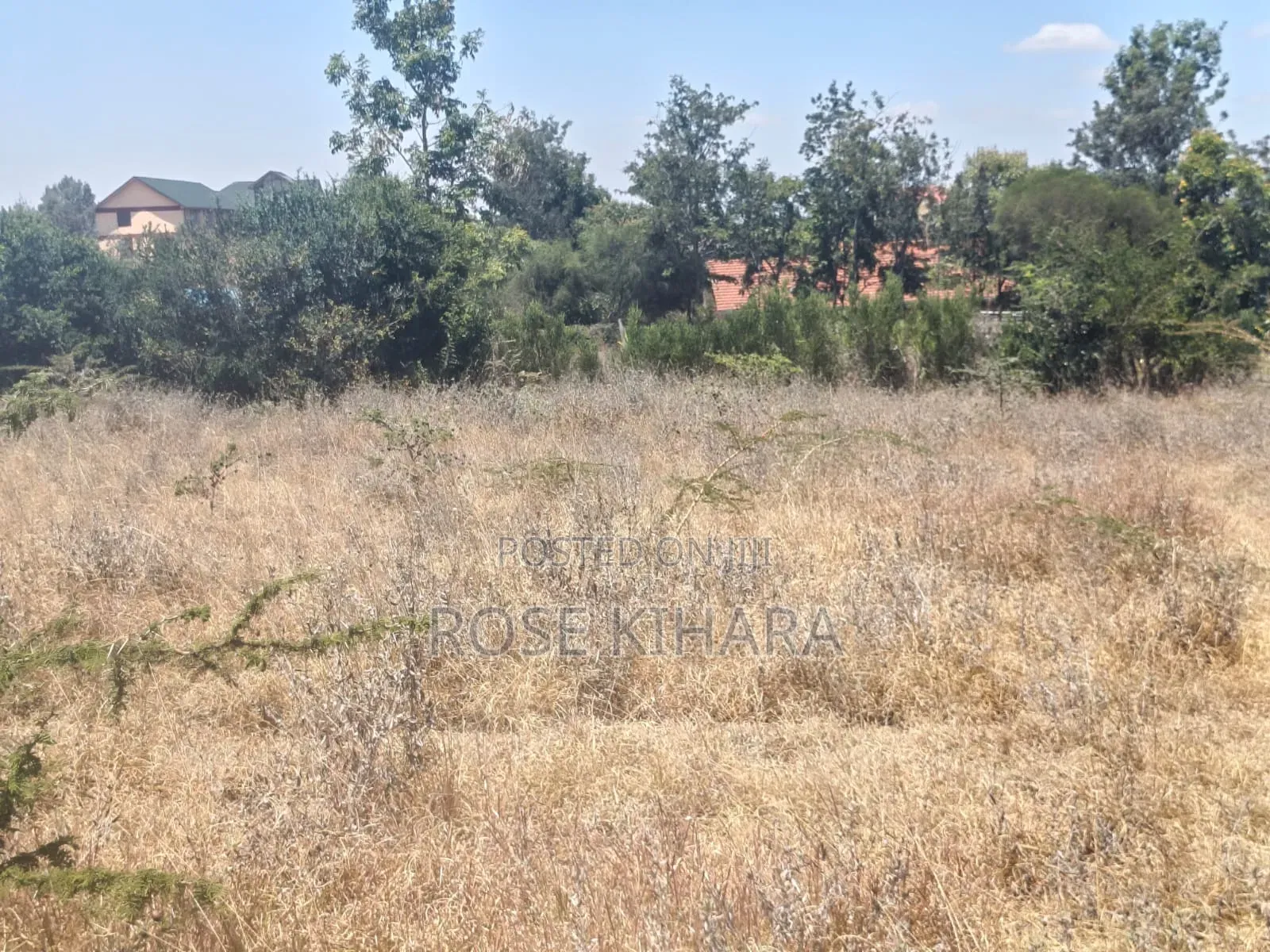 50x100 Land for Sale