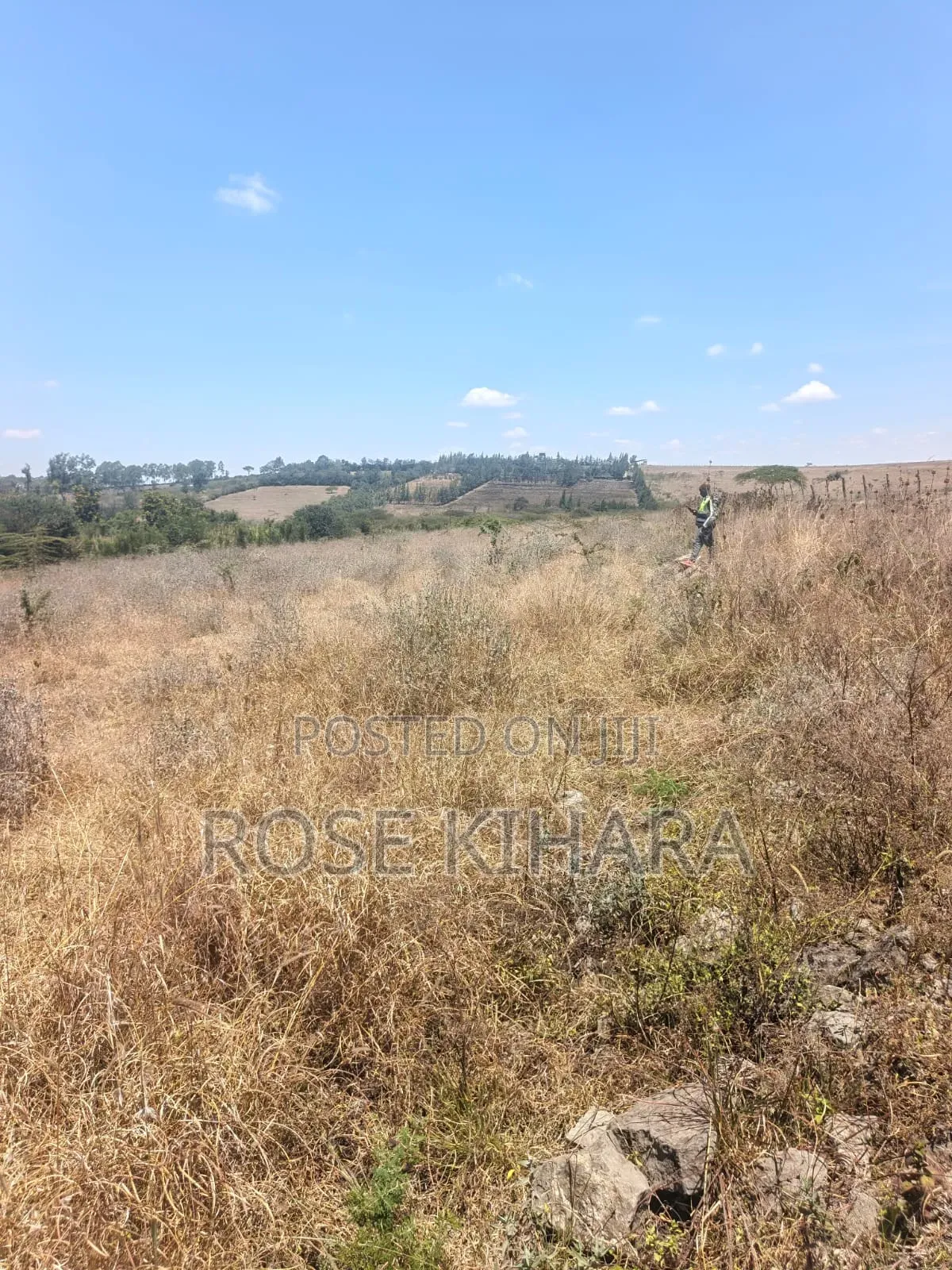50x100 Land for Sale