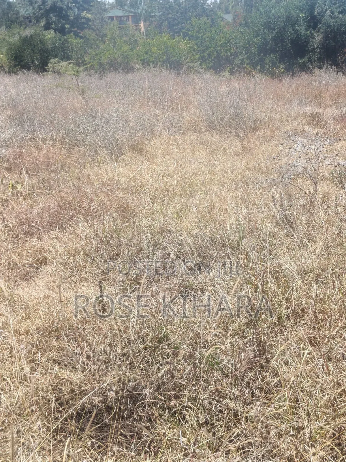 50x100 Land for Sale