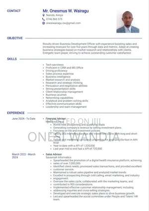 Business Executive Development/Manager