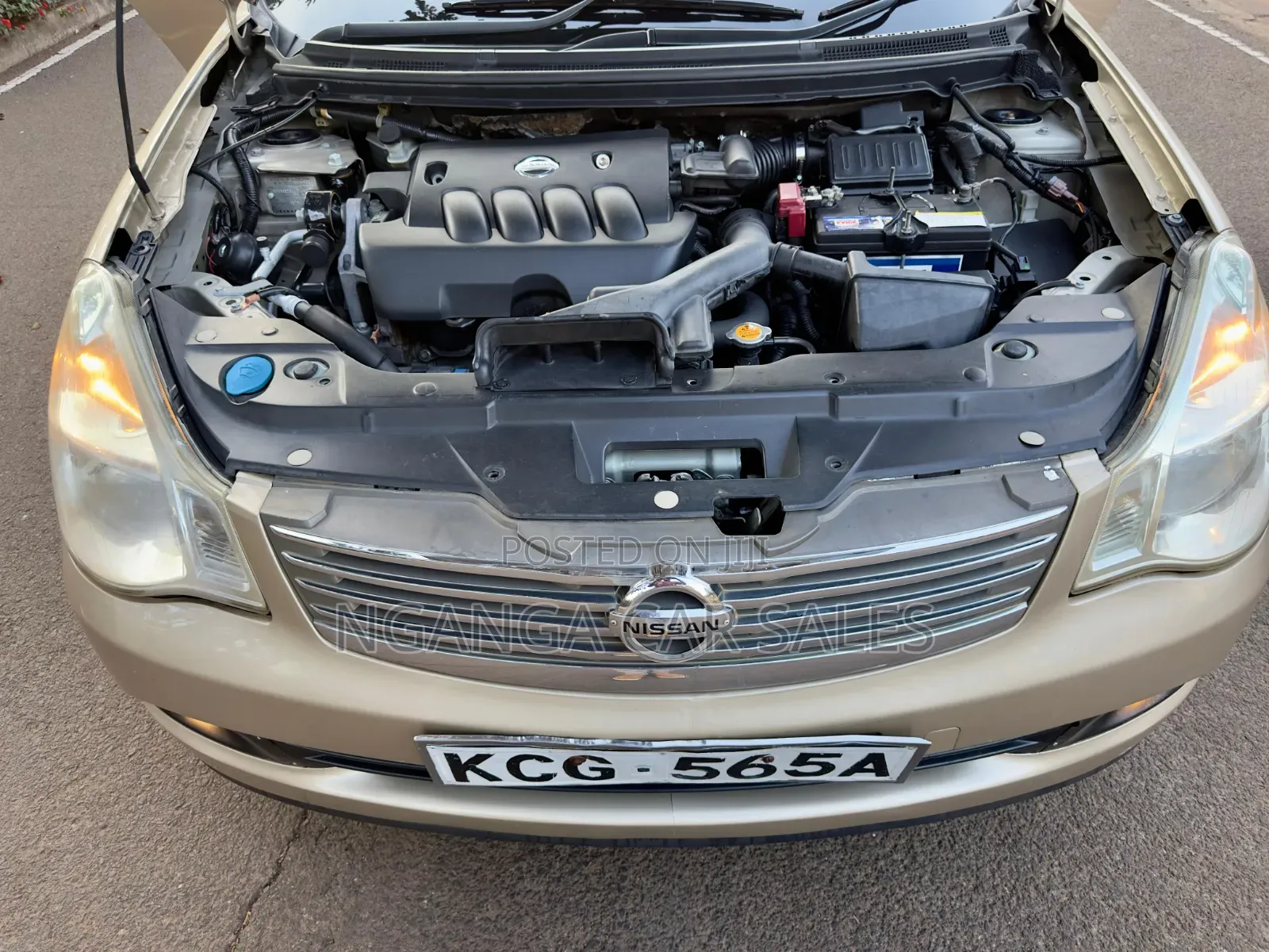 Nissan Bluebird 2009 Gold