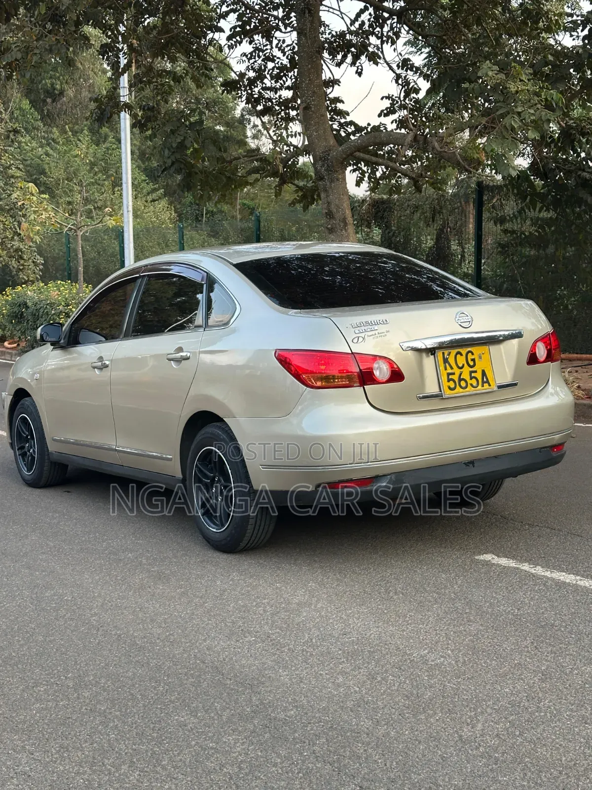 Nissan Bluebird 2009 Gold