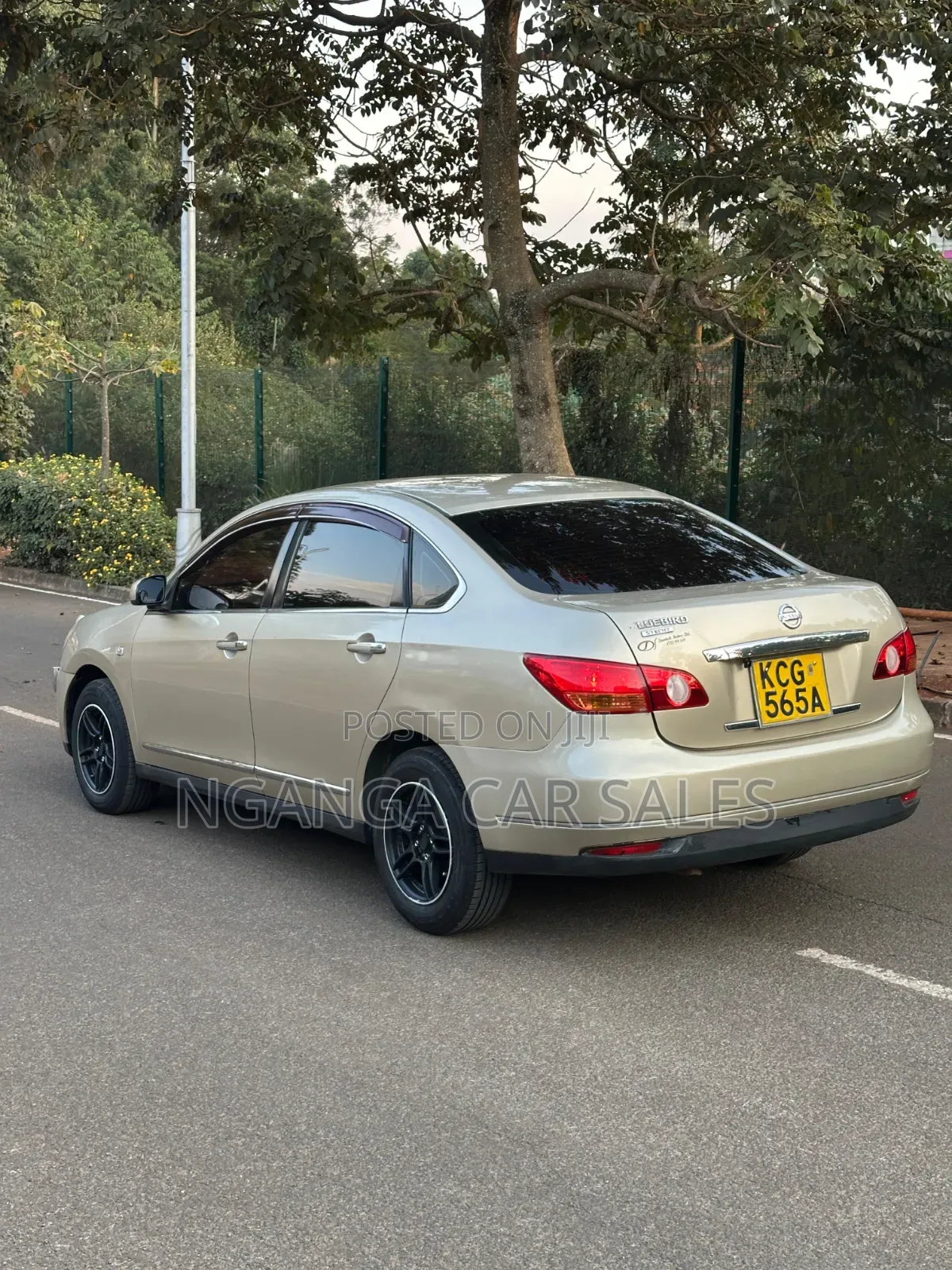 Nissan Bluebird 2009 Gold