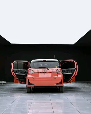 Toyota Passo 2019 Pink
