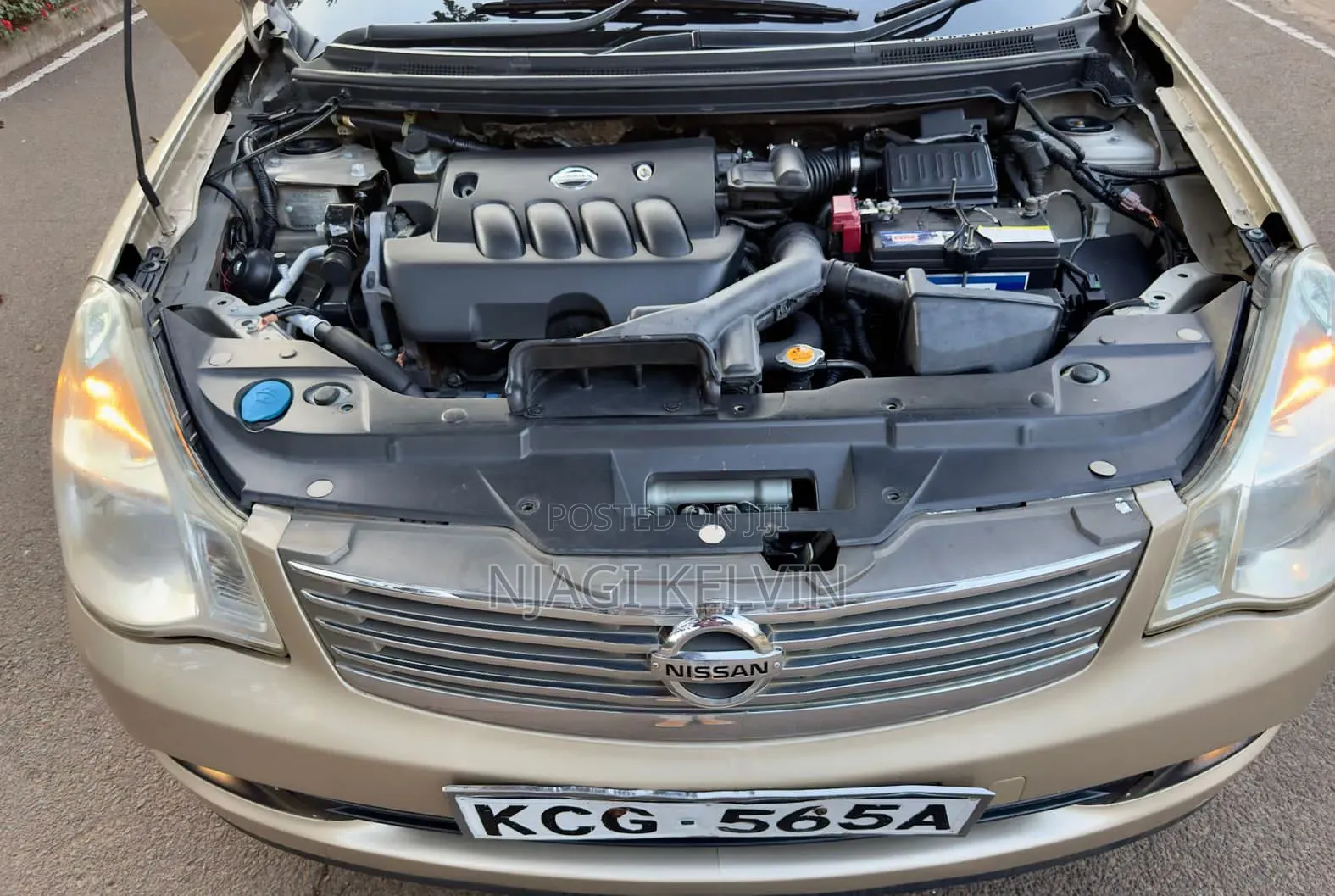 Nissan Sylphy 2009 Gold