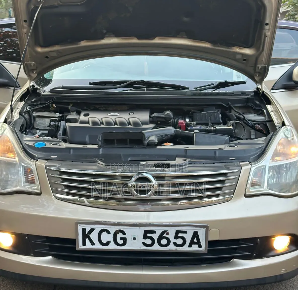 Nissan Sylphy 2009 Gold