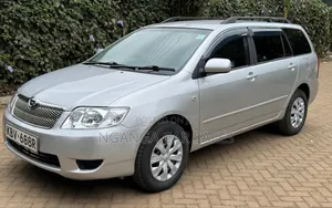 Toyota Corolla Fielder 2006 Silver