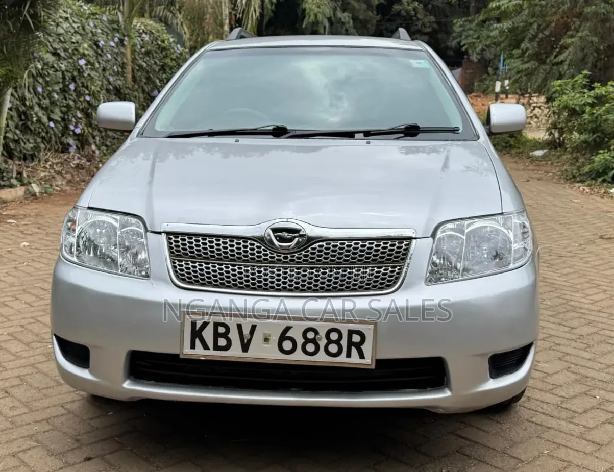 Toyota Corolla Fielder 2006 Silver