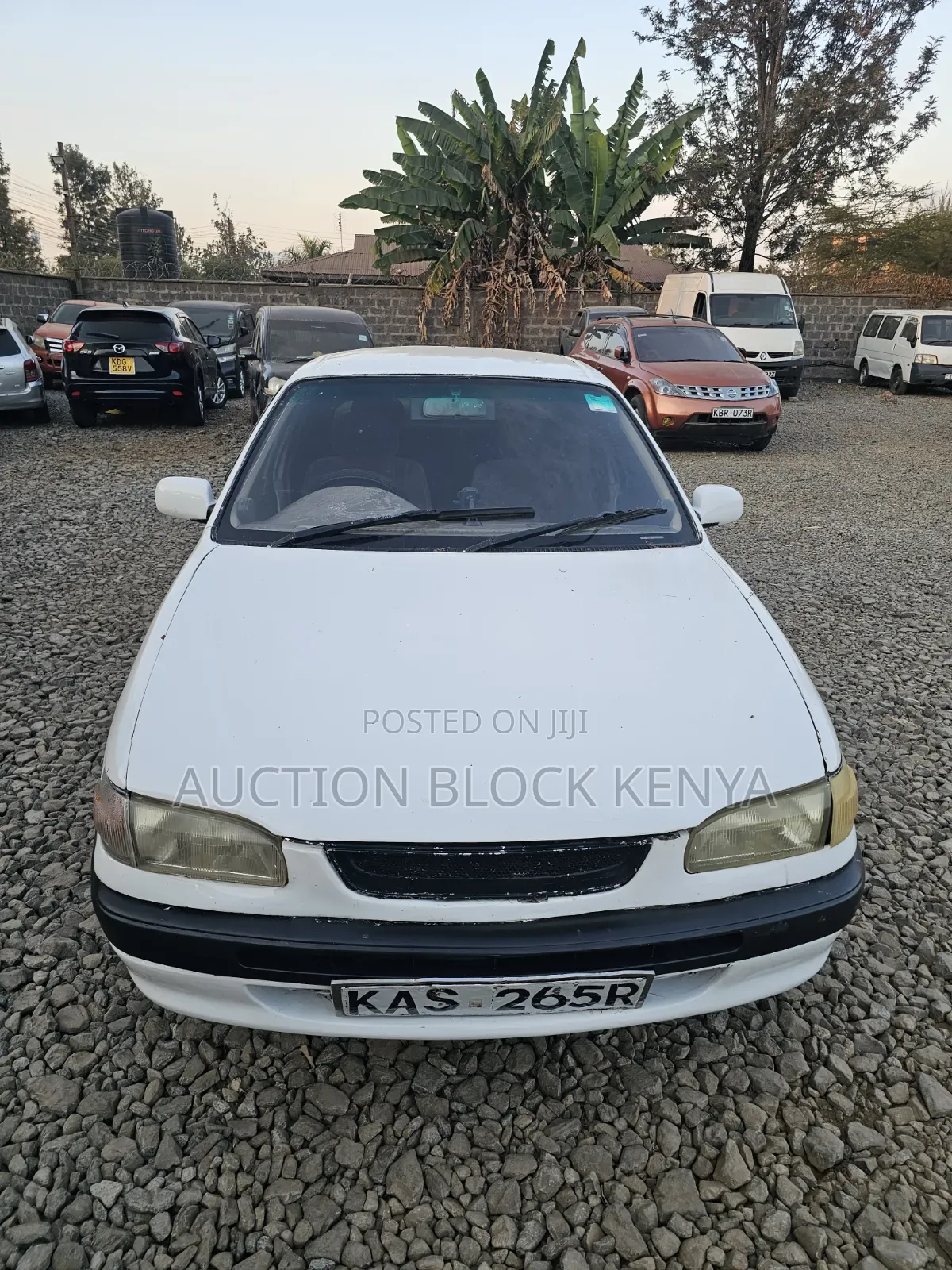 Toyota Corolla 2000 White
