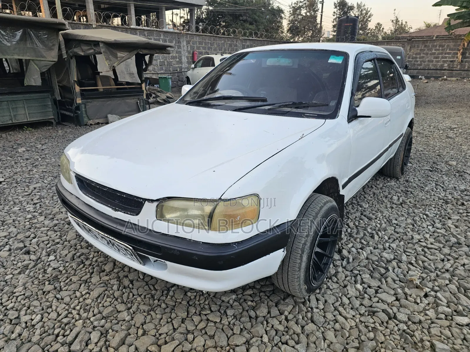 Toyota Corolla 2000 White