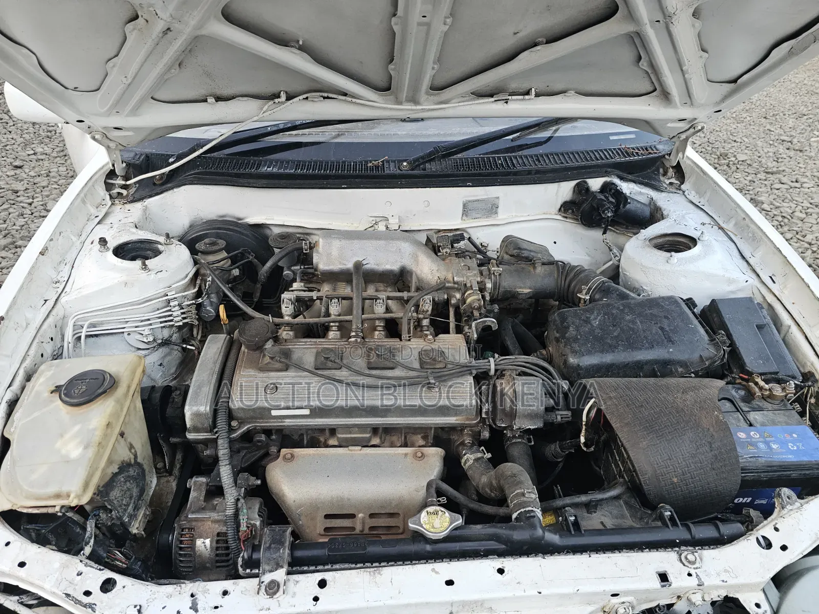 Toyota Corolla 2000 White