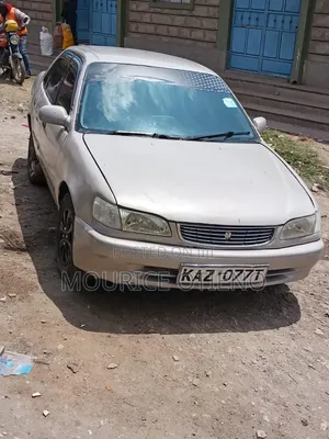 Toyota Corolla 2003 Gray