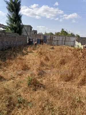 Plot for Sale in Joska 80 by 40,