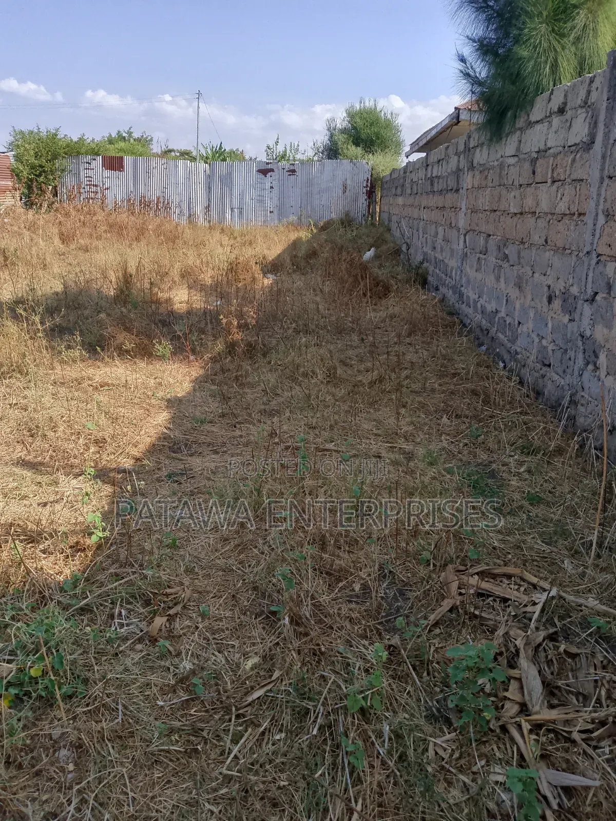 Plot for Sale in Joska 80 by 40,