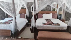 Tour and Safaris Africa